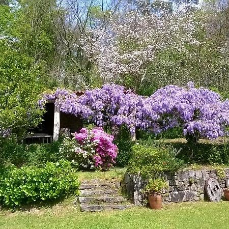 O Lughar Darriba Fogar Natural Gallardo Εξωτερικό φωτογραφία